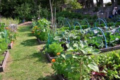 1-Hidden-Garden-006