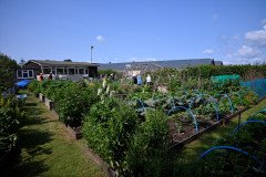 1-Hidden-Garden-009
