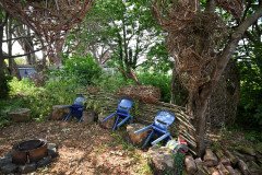 1-Hidden-Garden-011