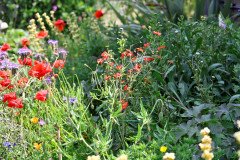 1-Hidden-Garden-013