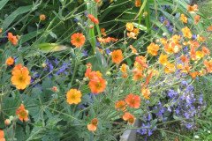 1-Hidden-Garden-021