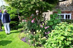 2-Hollyhocks-003