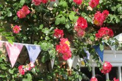 3-Sessions-House-004