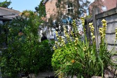 5-Gaydon-Cottage-002