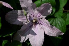 5-Gaydon-Cottage-005