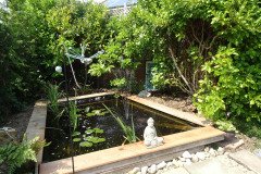 DSC03953