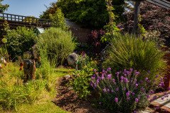 IMG_5488-garden-8