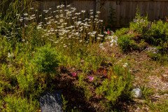 IMG_5496