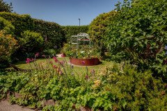 IMG_5510-garden-10