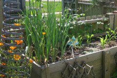 Selsey-Open-Gardens-Helen-Burton-1