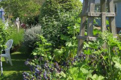 Selsey-Open-Gardens-Helen-Burton-2