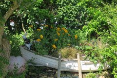 Selsey-Open-Gardens-Helen-Burton-3
