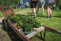 Selsey-Open-Gardens-Helen-Burton-6