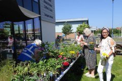 Selsey-Open-Gardens-by-Joan-Taylor-1