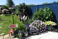 Selsey-Open-Gardens-by-Joan-Taylor-4