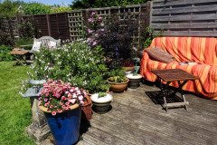 Selsey-Open-Gardens-by-Joan-Taylor-5