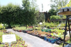 hidden-garden-16